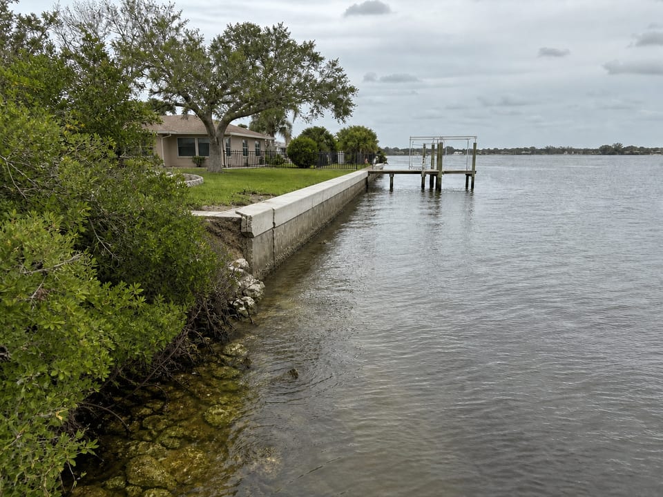 Illustration of a concrete seawall meeting a vegetated shoreline beside a residential waterfront.